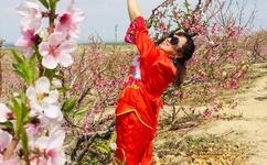 一品闺秀 夜有轻寒